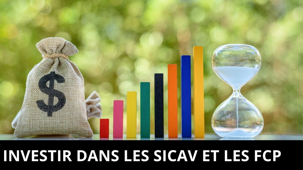 Guide sur l’investissement dans les SICAV et les FCP